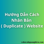 Hướng Dẫn Cách Nhân Bản ( Duplicate ) Website
