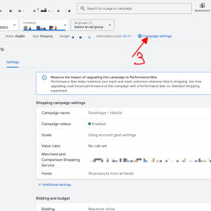 campaing setting - google ads - giao dien moi